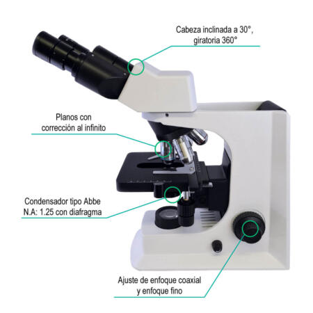 Microscopio Clínico