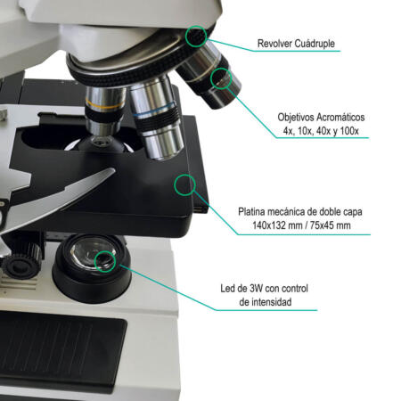 Microscopio Triocular