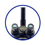 microscopio binocular