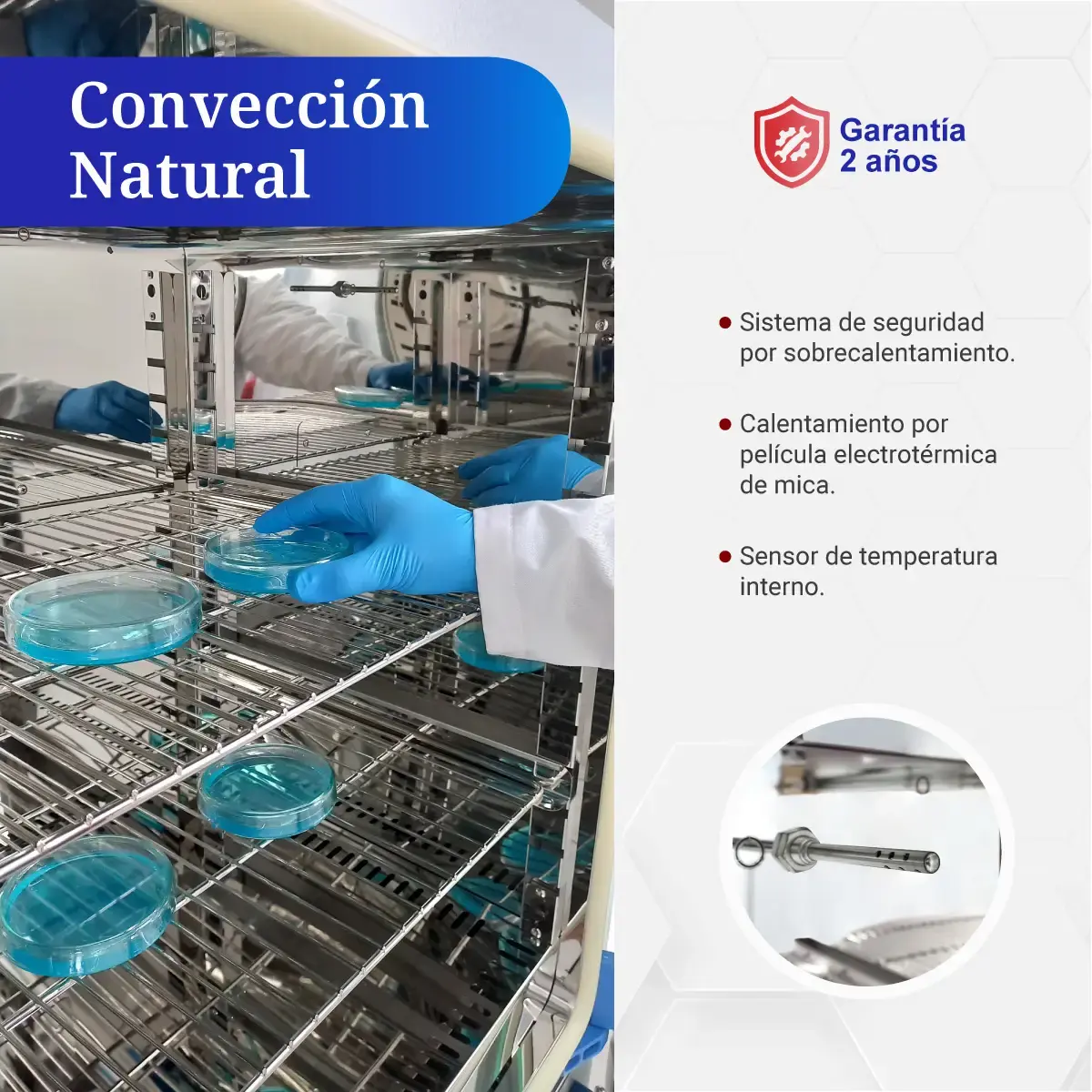 Incubadora de laboratorio 125 litros ICB con convección natural y bandejas con cajas Petri