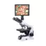 Microscopio digital Prisma 208-LCD con pantalla táctil, cámara de 5 MP y conectividad HDMI/WiFi para diagnóstico profesional.