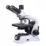 Microscopio trinocular Prisma 208-T con óptica plana infinita y platina extragrande para histología y patología avanzada.